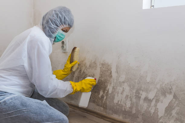 Mold Remediation for Vacation Homes in Crosby, TX
