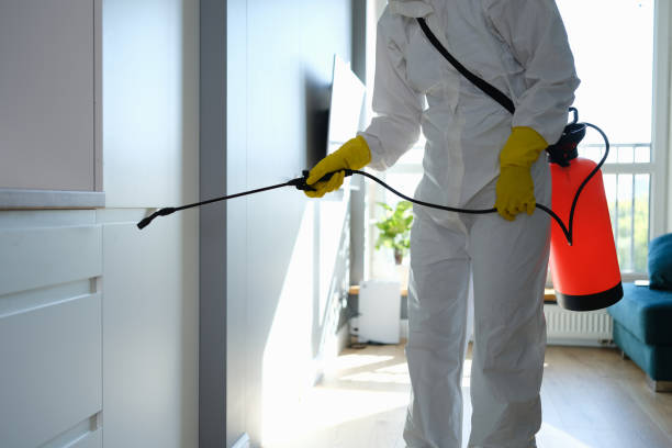 Best Crawl Space Mold Remediation  in Crosby, TX