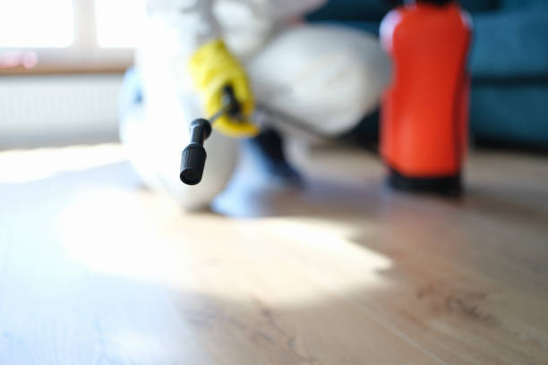 Best Mold Prevention Services  in Crosby, TX