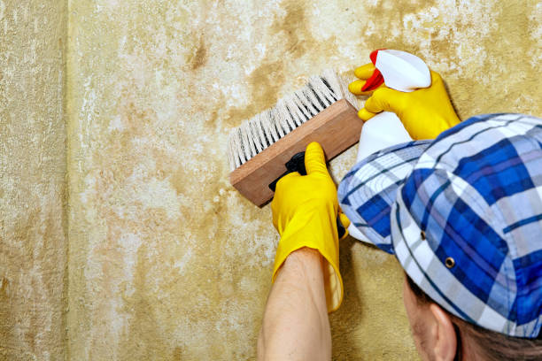 Best Air Quality Testing for Mold Spores  in Crosby, TX