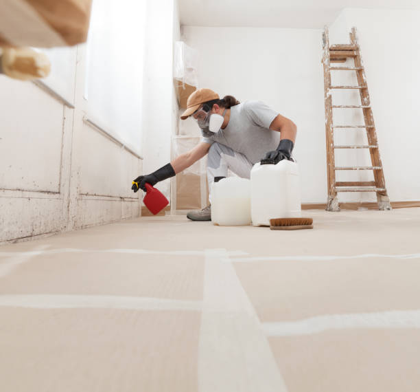 Best Dehumidification Services  in Crosby, TX